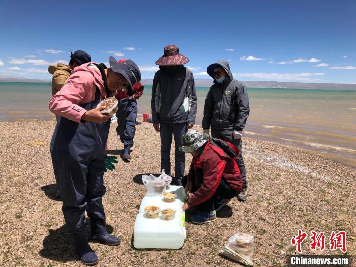 科考队员在高原湖泊岸边进餐。　<a target='_blank' href='http://www.chinanews.com/'><p  align=