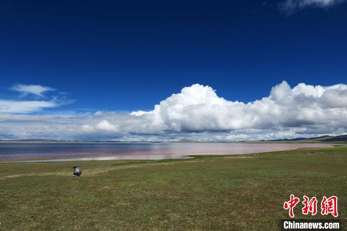 科考队员在兹格塘错湖岸采样。　<a target='_blank' href='http://www.chinanews.com/'></p><p  align=