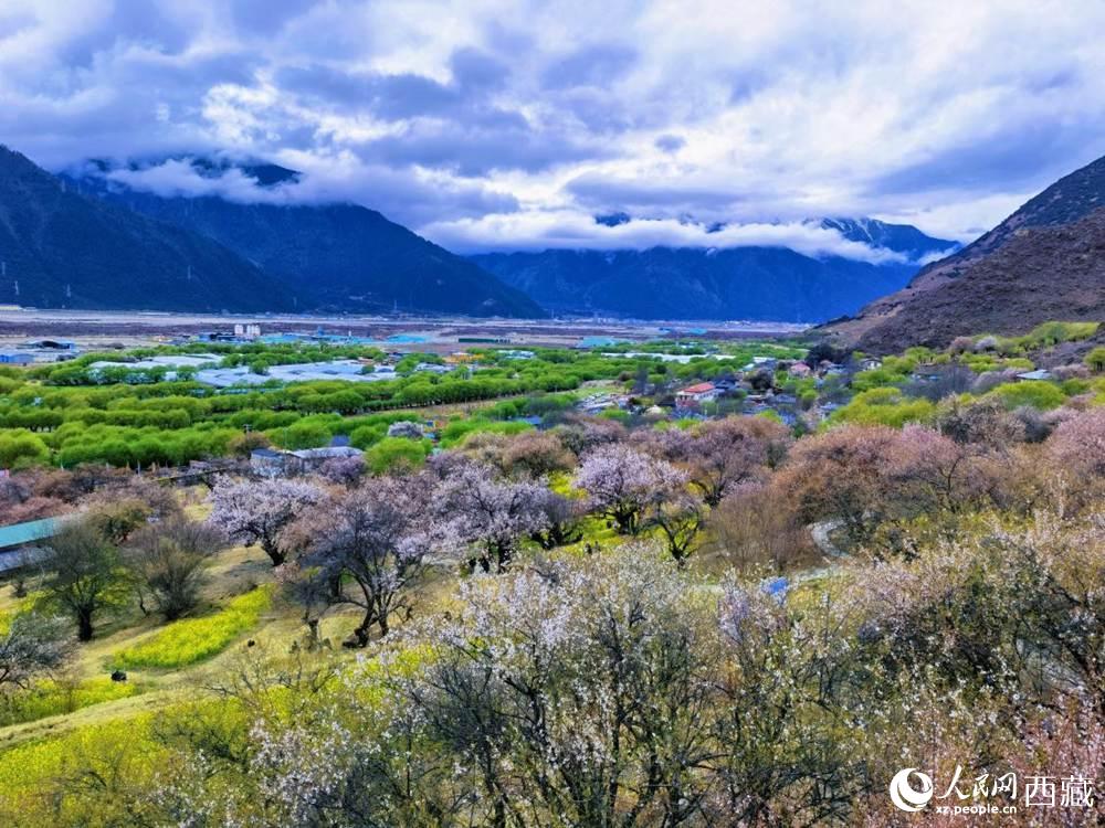 桃花从中的“童话小镇”。人民网 李海霞摄