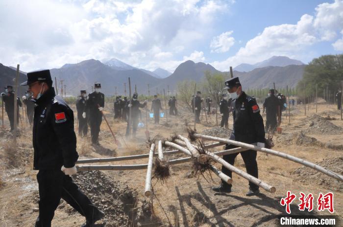 西藏边检总站轮训大队开展植树造林活动