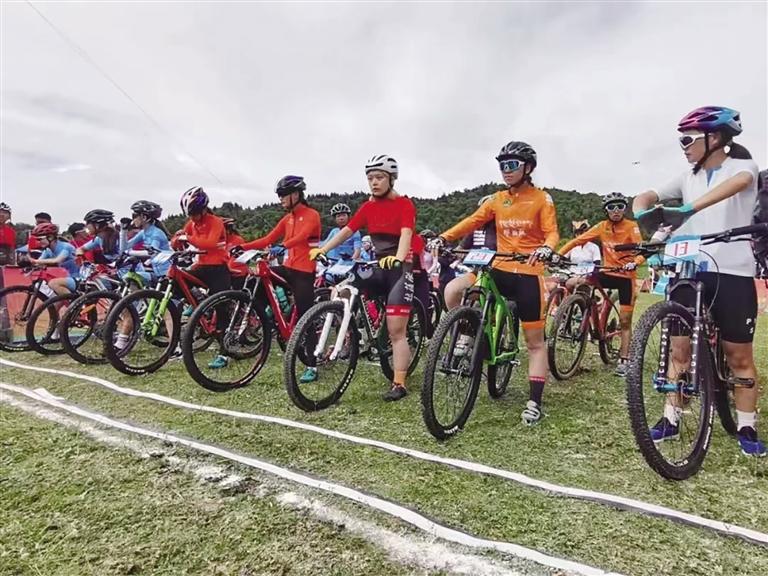 たさいな自転車