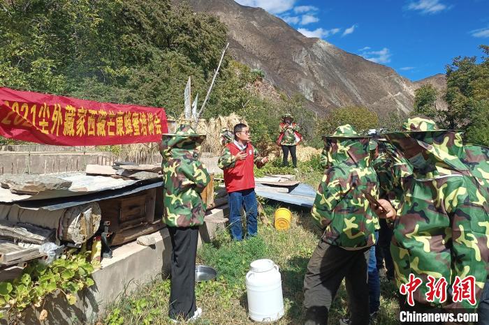 西藏芒康澜沧江畔的“甜蜜”产业