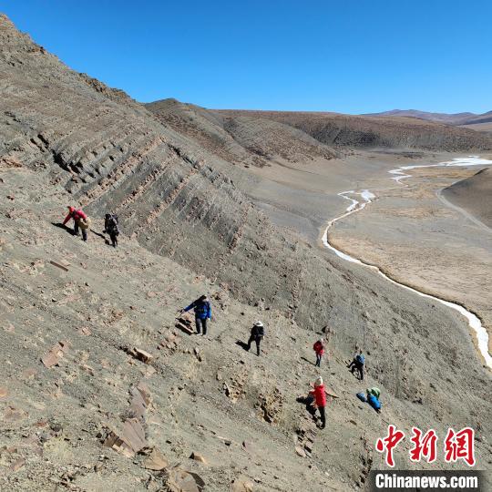 中科院古脊椎所青藏科考队员在聂拉木地区对三叠纪地层进行地毯式搜索，寻找化石。　中科院古脊椎所 供图