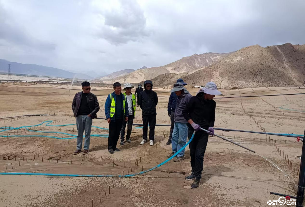 拉萨南北山绿化工程贡嘎段11号片区开展生态修复工程（主办方供图）