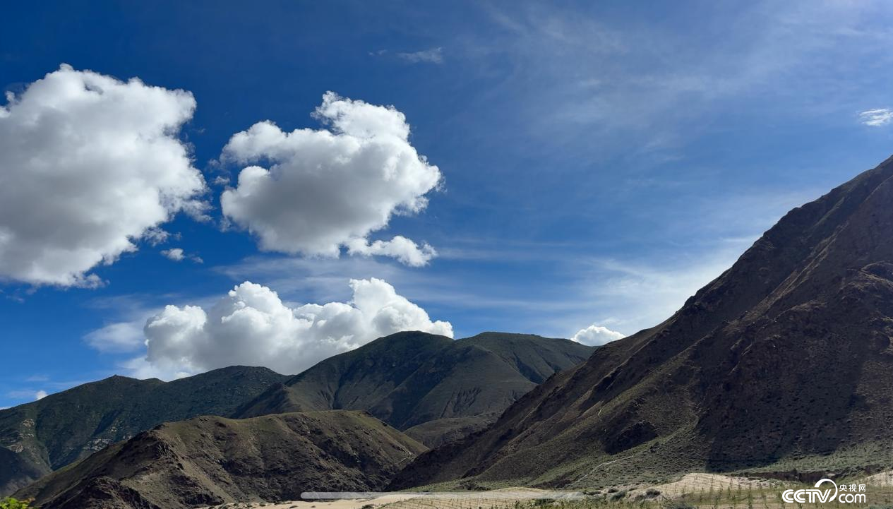 拉萨南北山绿化工程贡嘎段11号片区（摄影 李婷婷）