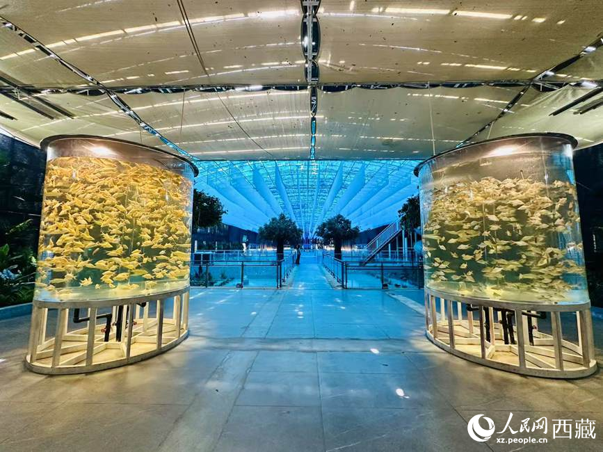 西普海洋公园。人民网记者 次仁罗布摄