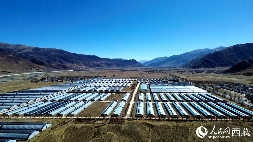 墨竹工卡县现代农业示范园。人民网记者吴雨仁摄