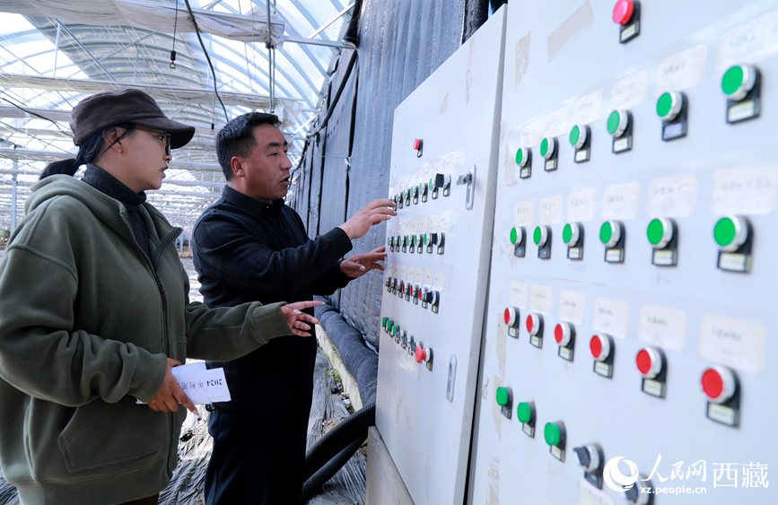 技术人员正在调整温室智能环境调控系统。人民网记者吴雨仁摄