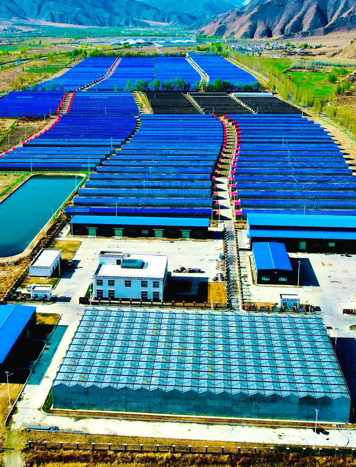 西藏山南市琼结县唐布齐村高标准温室大棚基地。伦珠泽仁摄