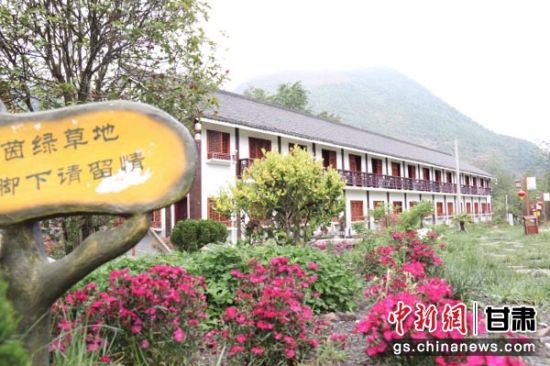 图为美化后的花桥村。 闫姣 摄