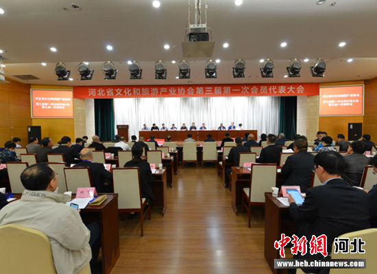 图为河北省文化和旅游产业协会第三届第一次会员代表大会现场。 李晓伟 摄