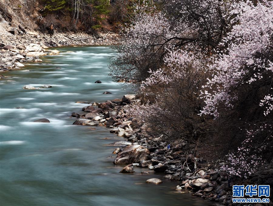 （新华视界）（2）西藏：察隅河谷春光美
