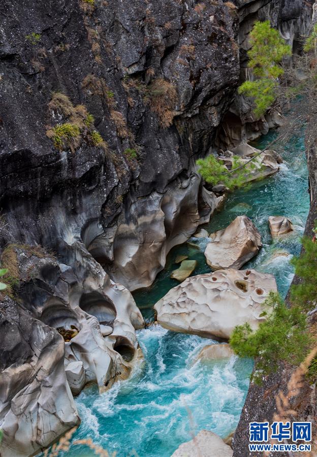 （新华视界）（4）西藏：察隅河谷春光美