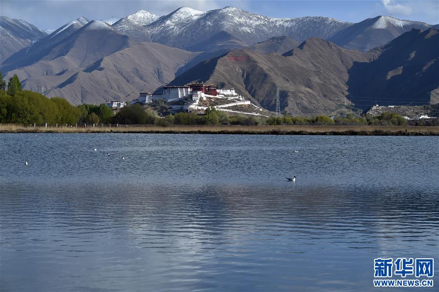 （美丽中国）（3）拉鲁湿地：城市湿地风景如画