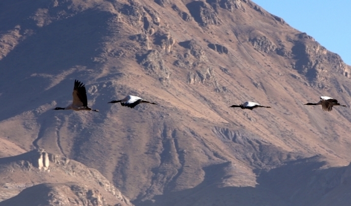 W020201230315329976473.jpg