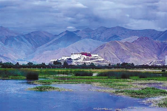 图为从拉鲁湿地远眺布达拉宫�?�本报记�? 格桑伦珠 �?.jpg