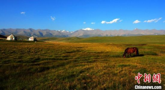 图为青海海北藏族自治州祁连牧场自然风光。　青海省文化和旅游厅供图