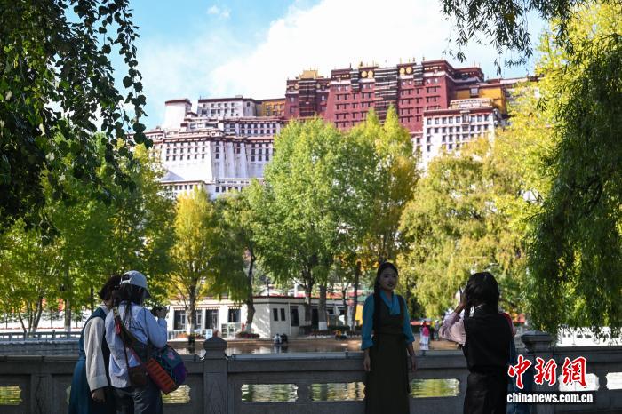 拉萨秋日:蓝天衬金叶古城焕新颜