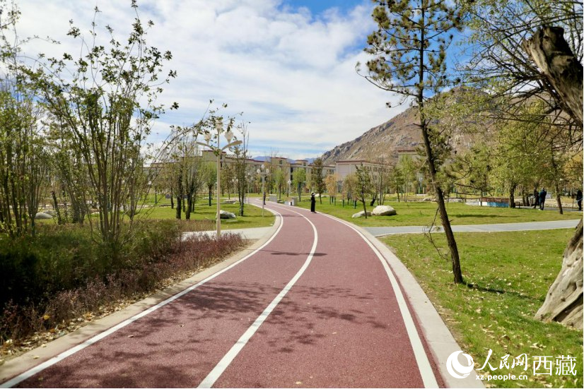 图为青年林卡公园新设的跑道。人民网记者 次仁罗布摄