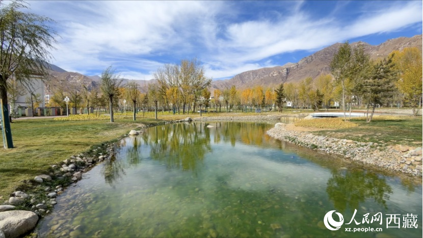 图为青年林卡公园。人民网记者 次仁罗布摄