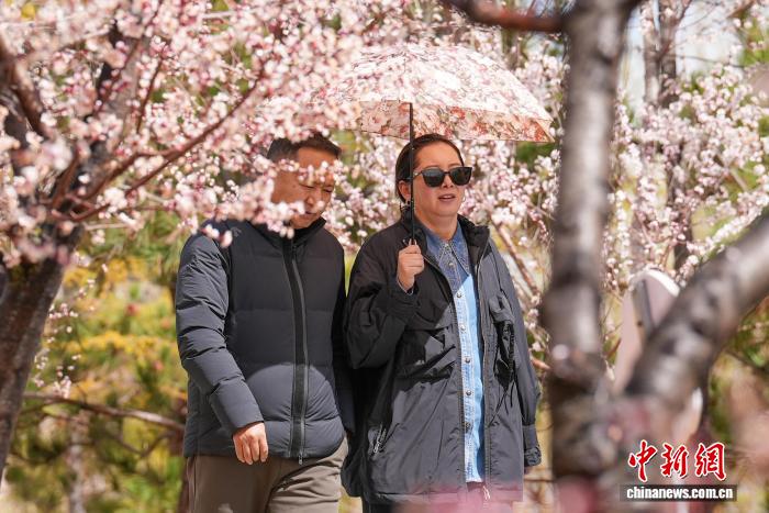 雪域高原春意盎然拉萨河畔繁花绽放