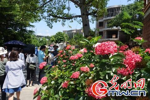 【新时代·幸福美丽新边疆】废弃矿坑变身生态公园 广东茂名“绿色转身”实现富民强产