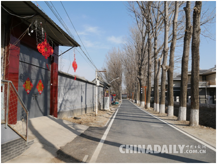 【新春走基层】煤改电、办花展：“京郊股份第一村”的美丽新春