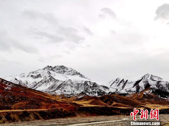 青海北部祁连山区白雪皑皑低矮处牧草枯黄