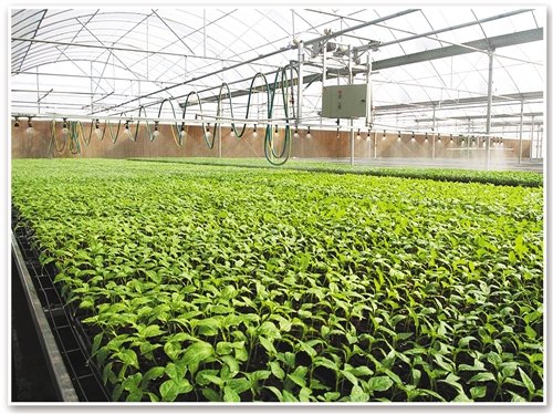 2019广西县域经济_...土 资讯中心 广西县域经济网 -来宾 桂中新城 投资沃土(3)