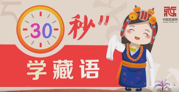 30秒学藏语丨.jpg