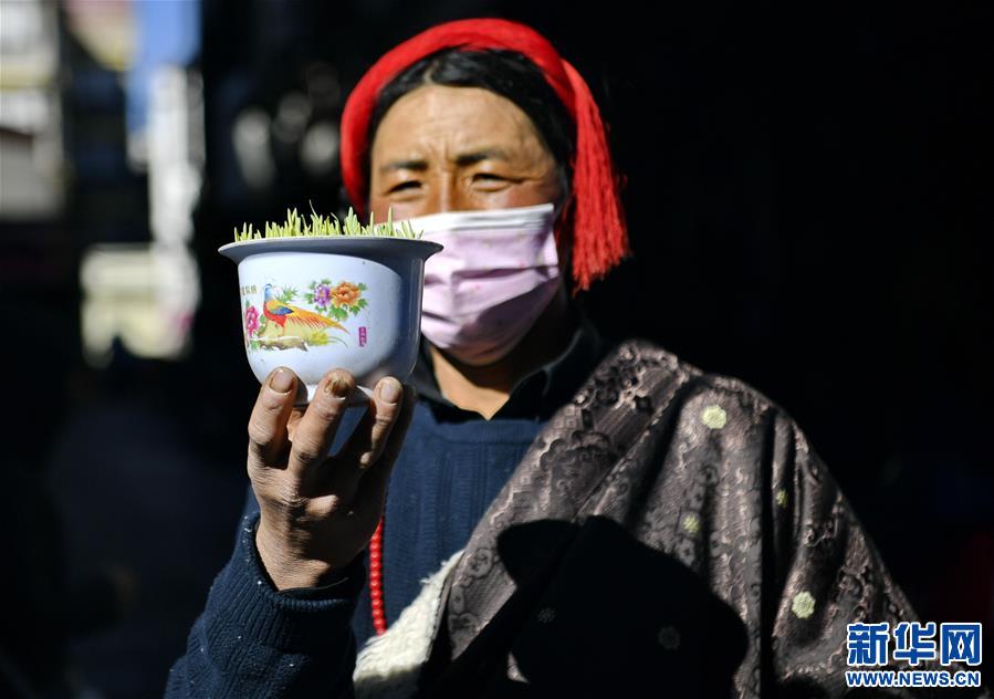 （社会）（3）西藏：“日光城”里备新年