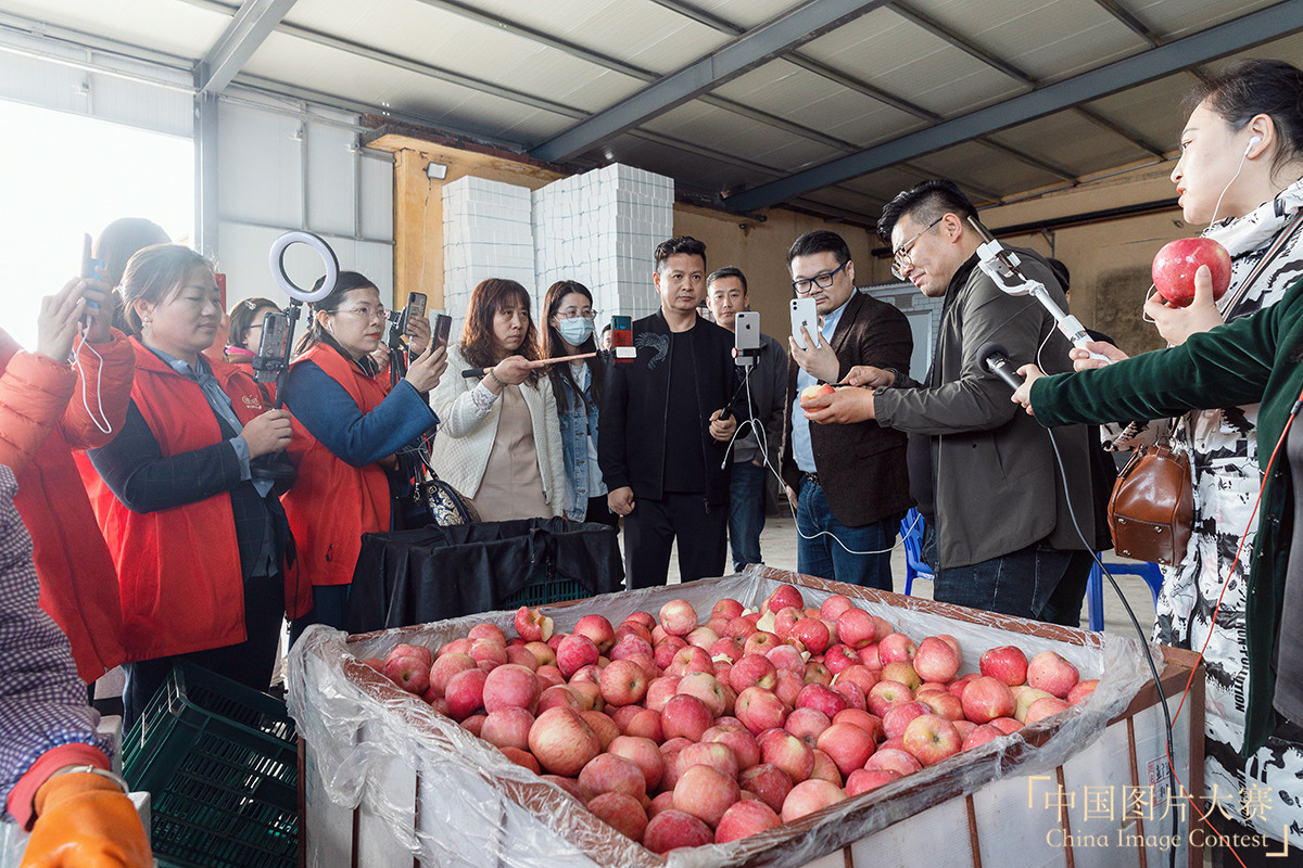 公益直播 爱心助农致富路