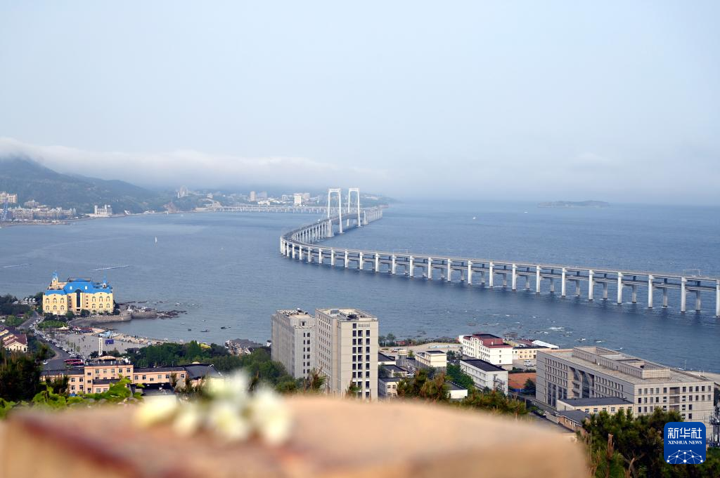 新华全媒+·城市巡礼丨大连：开放创新活力迸发
