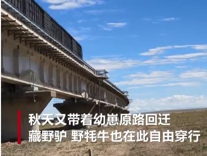 360截图20260622110750486.jpg