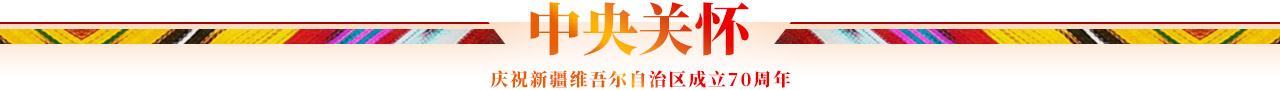 中央关怀